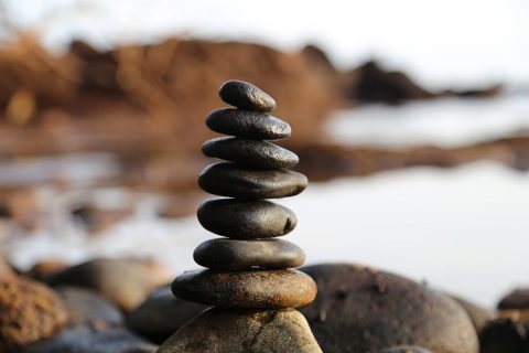 Sage Guru Blog